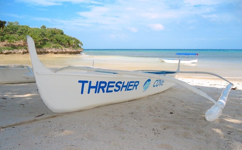 Thresher Cove Dive Resort Pulau Malapascua Bagian luar foto